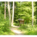 Profilbild: Waldsportpfad Eppingen